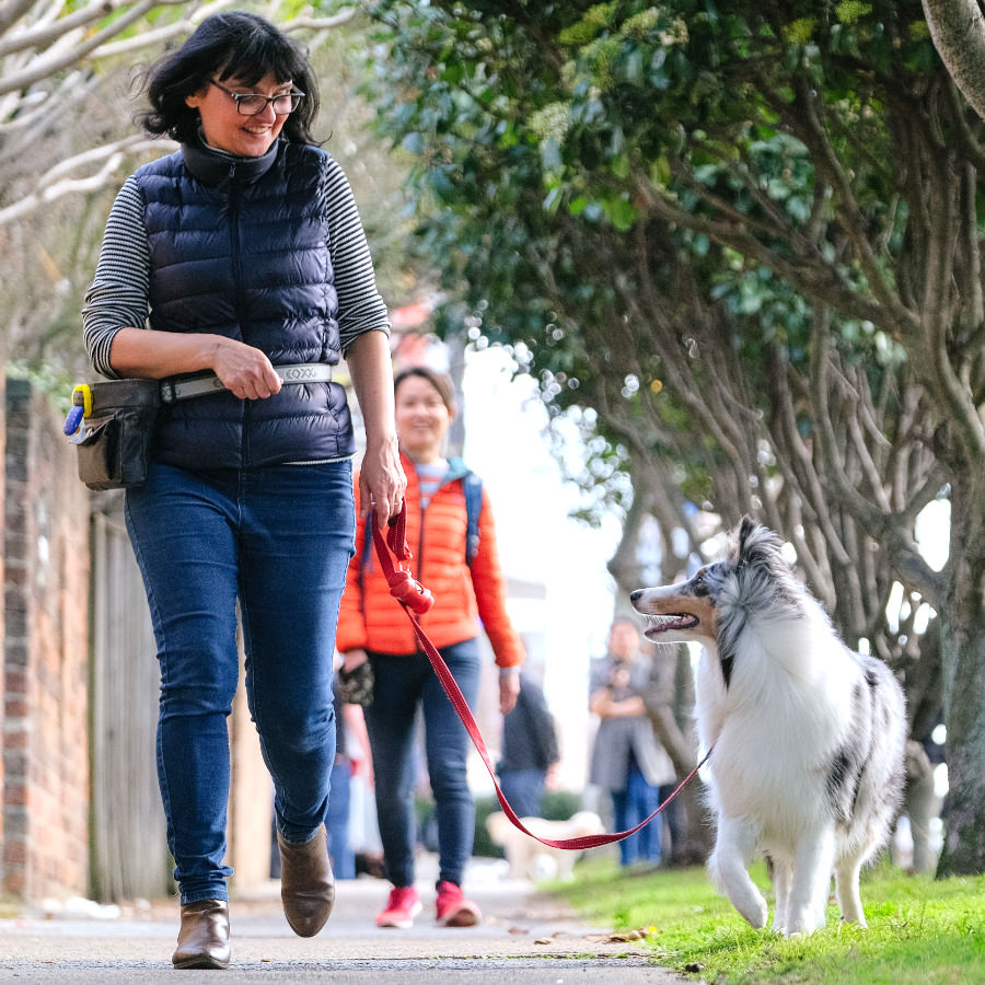 Renae walking a dog on a loose lead