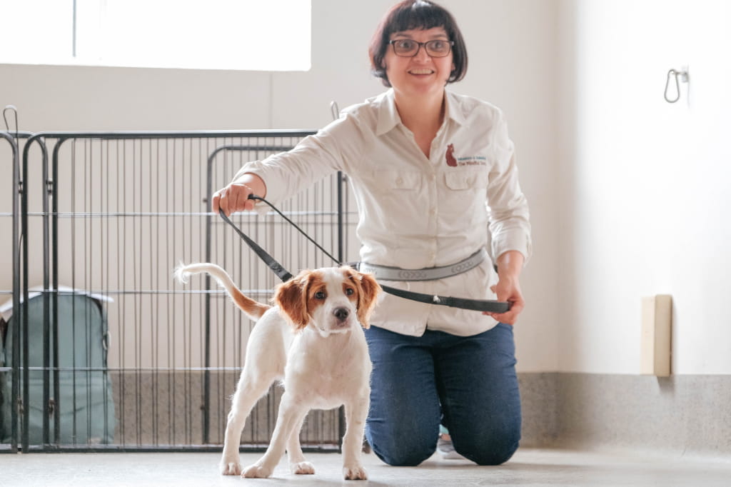 Renae at work on puppy recall in puppy class 1