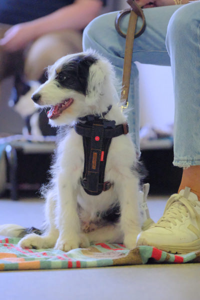 Look at that, sensory processing